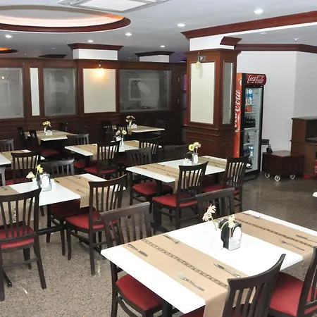 瓦萨酒店 阿拉尼亚